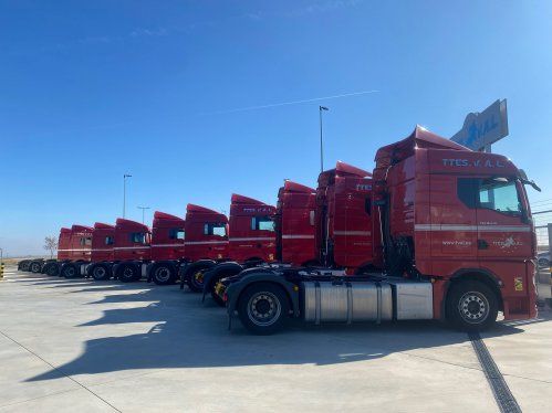 Elige el mejor medio de transporte según tu tipo de mercancía